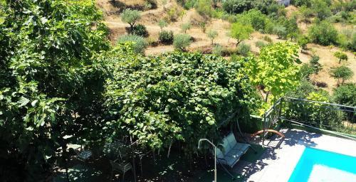 Hotel Posada Real Quinta De La Concepci�n
