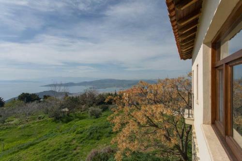 Artistic House: View - Pingpong - Billard