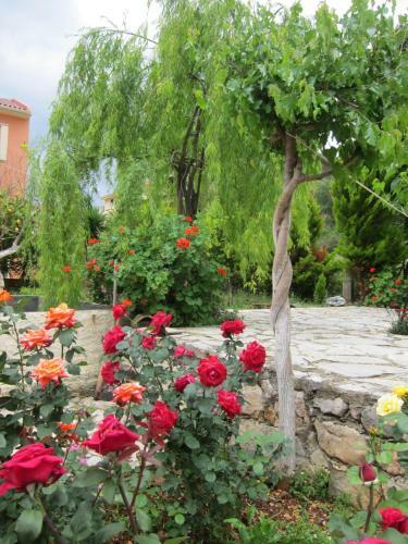 Villa Traditional 2bedroom Private House