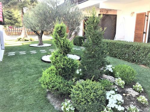 Apartamento Amaryllis House