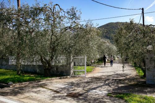 Olive & Mare House