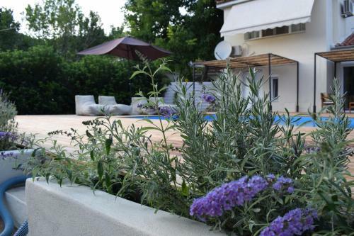 Serenity Luxury Villa, Skiathos