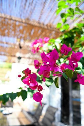 Serenity Luxury Villa, Skiathos