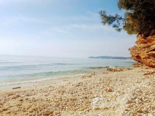 Spitaki Apartments Potos