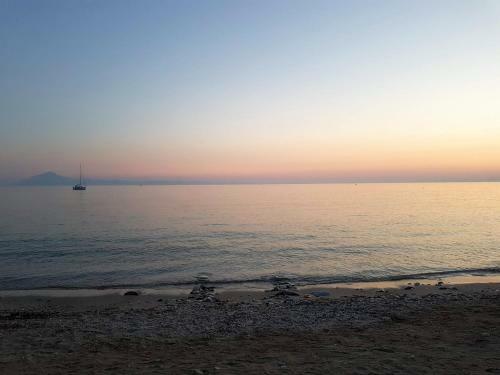 Spitaki Apartments Potos
