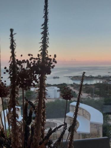 Evilia Luxury Villa