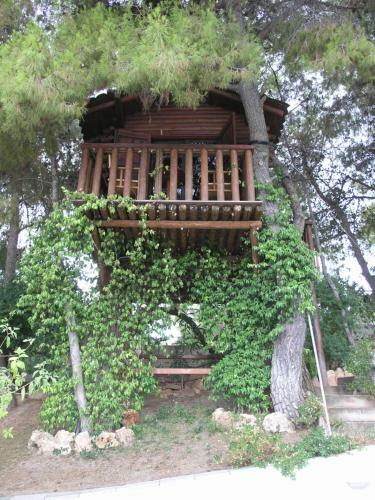The House Of Gratitude