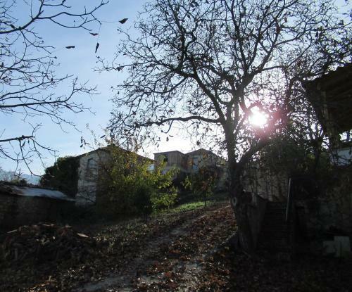 Apartamento Oniron Katafigio