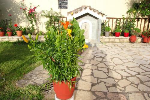 Villa Dimitra Nikiana