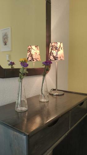 Violetta Apartments