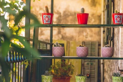 Traditional Guesthouses Xenofon