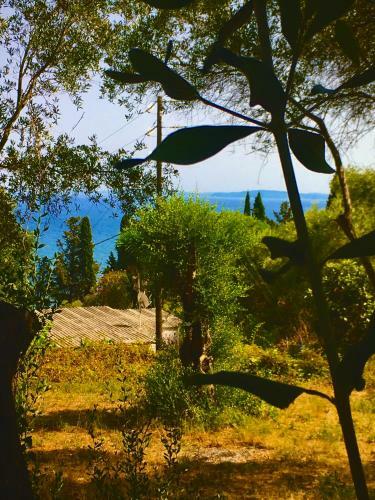 Anna's Cottage House
