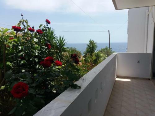 Apartamento Sun Day Villa