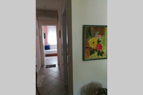 Apartamento Paradiso