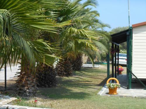 Heliactida House