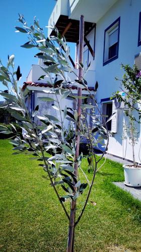 Zephyros Family Apartments 2