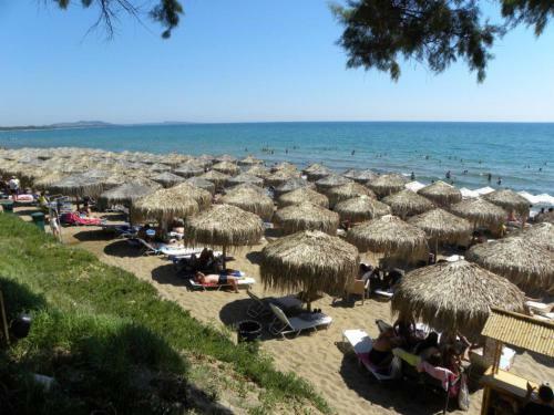 Agroturismo Luxury Villa