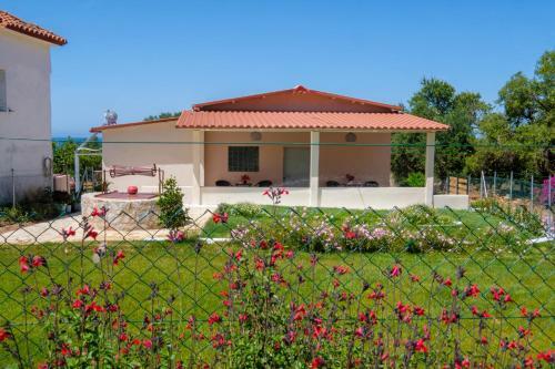 Rikia Seaside House