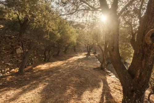 Avdos' Olive House - Land Tales