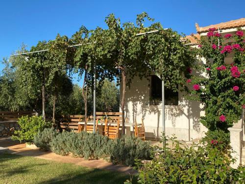 Villa Serenity