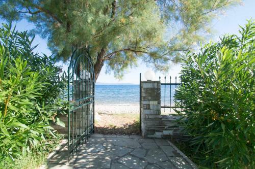 Romantic Seafront Studio - Dream Garden