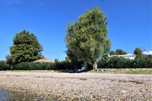 Romantic Seafront Studio - Dream Garden