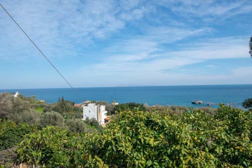 Cretan Biosuites