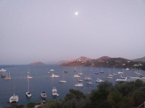Aegean Blue