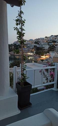 Apartamento Bella Vista