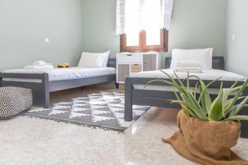 Apartamento Naxos View