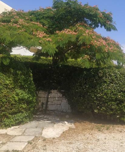 Elenas Studio Agia Marina Koropi