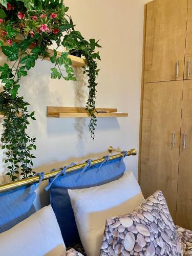 Hostal Lela?s Studio