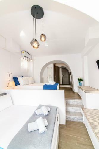 Anemona Apartment Tinos