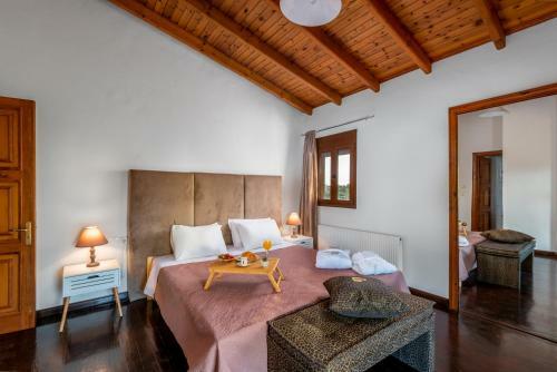 Villa Amazing House Pigi