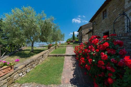 Apartamento La Routa Type A 21