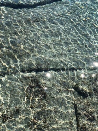 Apartamento Vacation Apulia Properties - Appartamento Vento