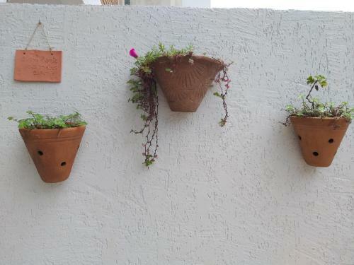 Chal�s Manac� Da Serra