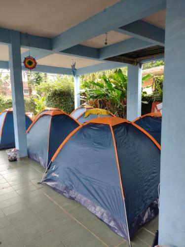 Hostel Tr�pico de Capric�rnio - Ten�rio