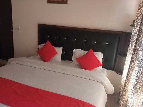 Hotel Bhagsu Mountain View,
