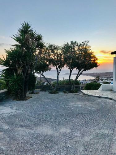 Infinity View