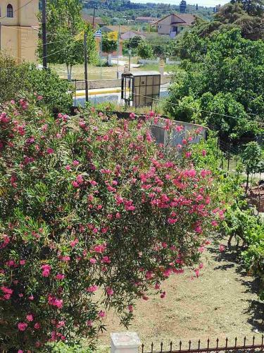 Apartamento Filoxenia Petriti