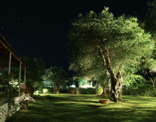 Hostal Ktima Theofilos - Frideriki