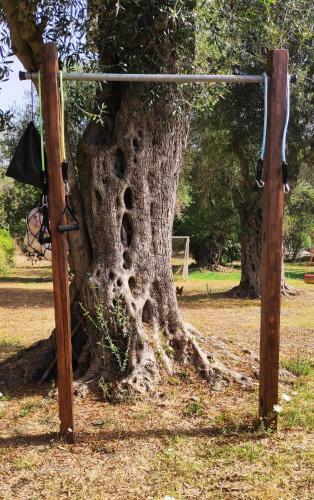 Hostal Ktima Theofilos - Frideriki