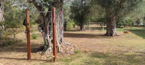 Hostal Ktima Theofilos - Frideriki