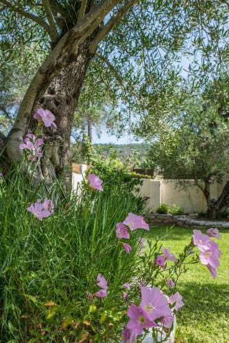 Corfu Villa Linea By Hotelius