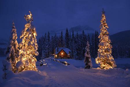 Hotel Emerald Lake Lodge - Deluxe