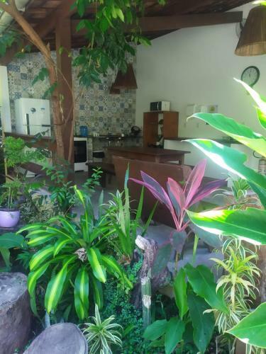 Lodge Aru� Observa��o de Aves E Natureza