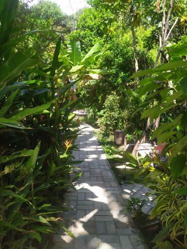 Lodge Aru� Observa��o de Aves E Natureza