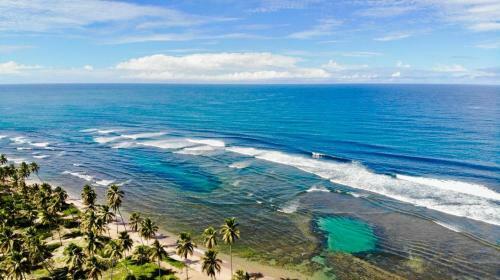 Praia Do Forte Apartamento Fant�stico