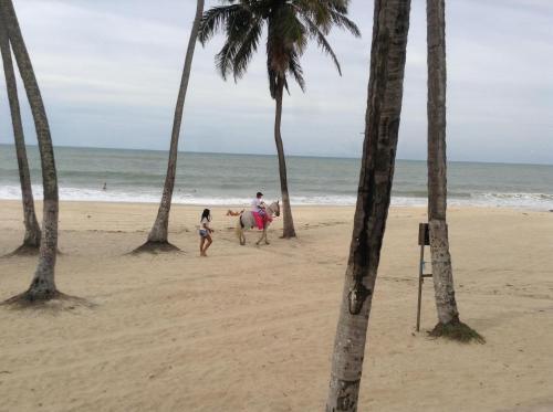 Apartamento Eco Paradise Ap 122